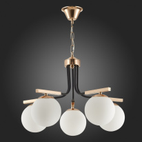 Купить Подвесная люстра Evoluce SLE106803-05