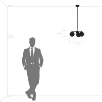 Купить с доставкой по Москве и России Люстра на штанге Lightstar 815237