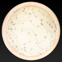 Купить Накладной светильник TOPLIGHT TL9650Y-00PN