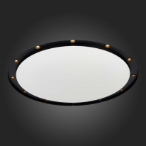 Цена на Встраиваемый светильник ST-Luce ST706.438.60