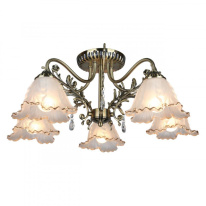 Фото Накладная люстра Omnilux OML-54807-05