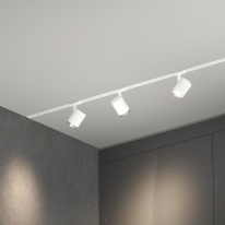 Купить с доставкой по Москве и России Светильник на шине Elektrostandard Cors белый/серебро 10W 4200K (85513/01) однофазный