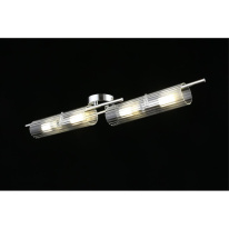 Купить с доставкой по Москве и России Накладной светильник APLOYT APL.315.17.04