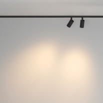 Купить с доставкой по Москве и России Maytoni Technical TR176-1-2X5WTW-M-B