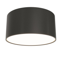 Фото Накладной светильник Maytoni Technical C032CL-12W3K-RD-B