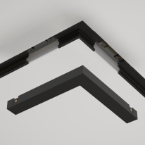 Цена на Maytoni Technical TRA172CL-12B