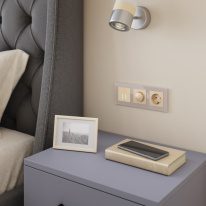 Купить с доставкой по Москве и России Диммеры Werkel W1142011