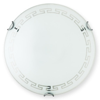 Фото Накладной светильник TOPLIGHT TL9161Y-01WH