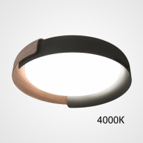 Фото Накладной светильник ImperiumLoft 223831-23