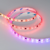 Купить с доставкой по Москве и России Лента Arlight 039604