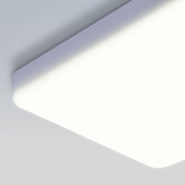 Цена на Накладной светильник Elektrostandard DLS043 10W 4200K