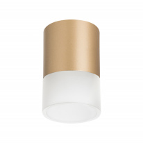 Фото Накладной светильник Lightstar R349081