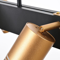 Цена на Люстра на штанге Favourite 4074-6P