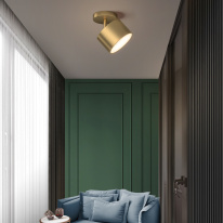 Купить с доставкой по Москве и России Накладной светильник ImperiumLoft 231016-23