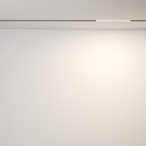 Цена на Светильник на шине Maytoni Technical TR106-2-12W3K-B