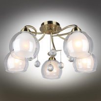 Купить Накладная люстра Omnilux OML-54717-05