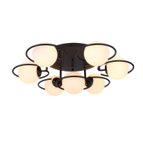 Фото Накладная люстра Evoluce SL418.402.07