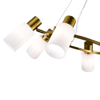 Цена на Подвесная люстра Evoluce SLE1139-303-06