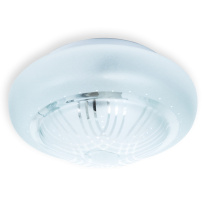 Накладной светильник TOPLIGHT TL9560Y-02WH Фото Накладной светильник TOPLIGHT TL9560Y-02WH