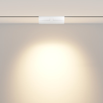 Светильник на шине Maytoni Technical TR033-2-12W3K-W Цена на Светильник на шине Maytoni Technical TR033-2-12W3K-W