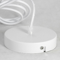 Купить с доставкой по Москве и России Подвесной светильник Lussole LSP-8220