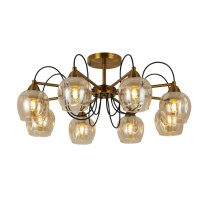 Фото Люстра на штанге Evoluce SLE110002-08