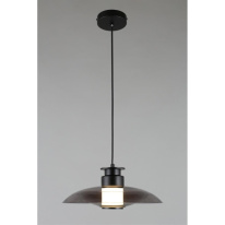 Купить Подвесной светильник APLOYT APL.648.06.10