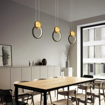 Купить Подвесной светильник ImperiumLoft 189570-23