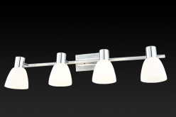 Купить Спот TOPLIGHT TL3700Y-04GR