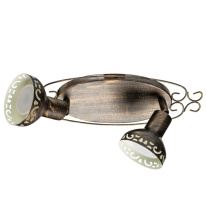 Фото Спот ARTE Lamp A5219AP-2BR