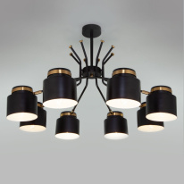 Фото Люстра на штанге Eurosvet 70133/8 черный