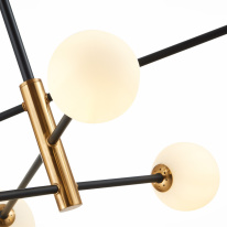 Купить Люстра на штанге Evoluce SLE220103-06