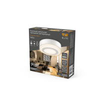 Цена на Накладной светильник Gauss BL216