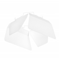 Фото Вставка Lightstar 202486