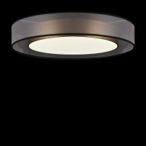 Накладной светильник Freya FR6005CL-L48G Купить с доставкой по Москве и России Накладной светильник Freya FR6005CL-L48G