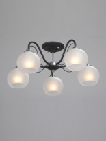 Фото Накладная люстра Vitaluce V3948-1/5PL