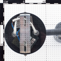 Цена на Спот Citilux CL525542