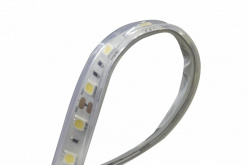 Фото Лента DesignLed DSG560-24-W-65