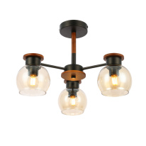 Фото Люстра на штанге Evoluce SLE108102-03