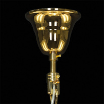 Купить Подвесная люстра Lightstar 702102