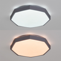Купить Накладной светильник ARTE Lamp A2659PL-1WH