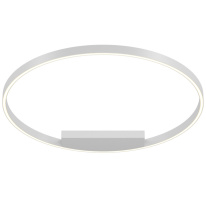 Фото Накладной светильник Maytoni MOD058CL-L50WK