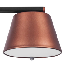 Цена на Lightstar 719233