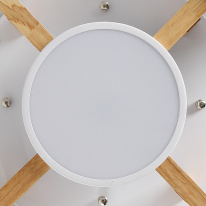 Купить с доставкой по Москве и России Накладная люстра ImperiumLoft 101699-26