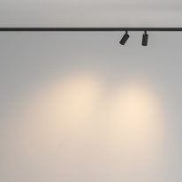 Купить с доставкой по Москве и России Maytoni Technical TR176-1-2X3WTW-M-B