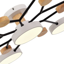 Люстра на штанге Evoluce SLE6006-502-07 в интернет магазине Гет Лайт