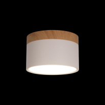 Цена на Детский точечный светильник LOFT IT 10162 White