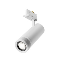 Фото Maytoni Technical TR198-3-20W4K-Z-W