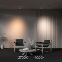 Купить с доставкой по Москве и России Maytoni Technical TR199-3-15W2.7K-M-W