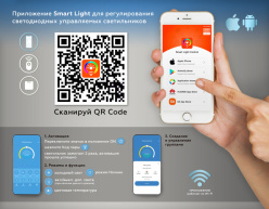 Купить с доставкой по Москве и России Накладная люстра Ambrella Light FA8892